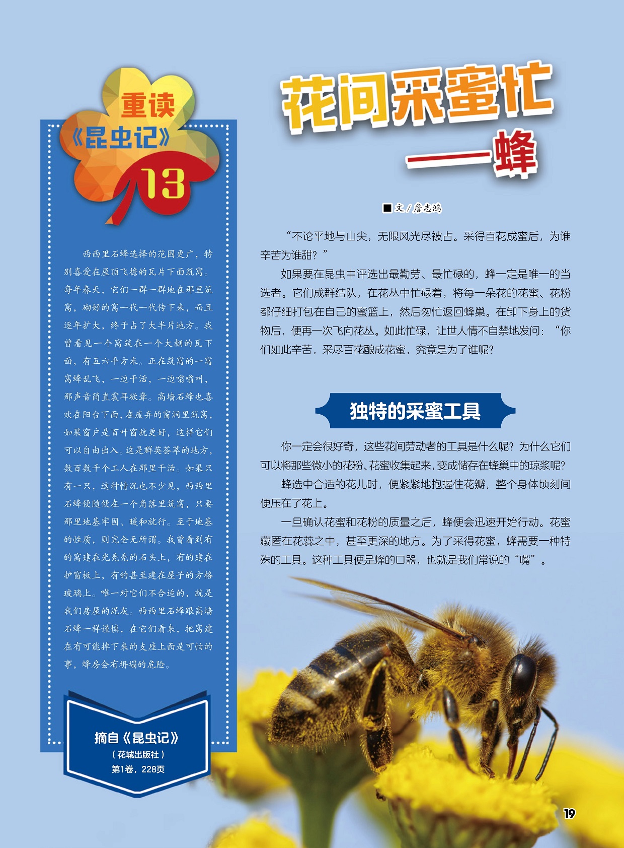 采尽百花酿成花蜜,独特的采蜜工具