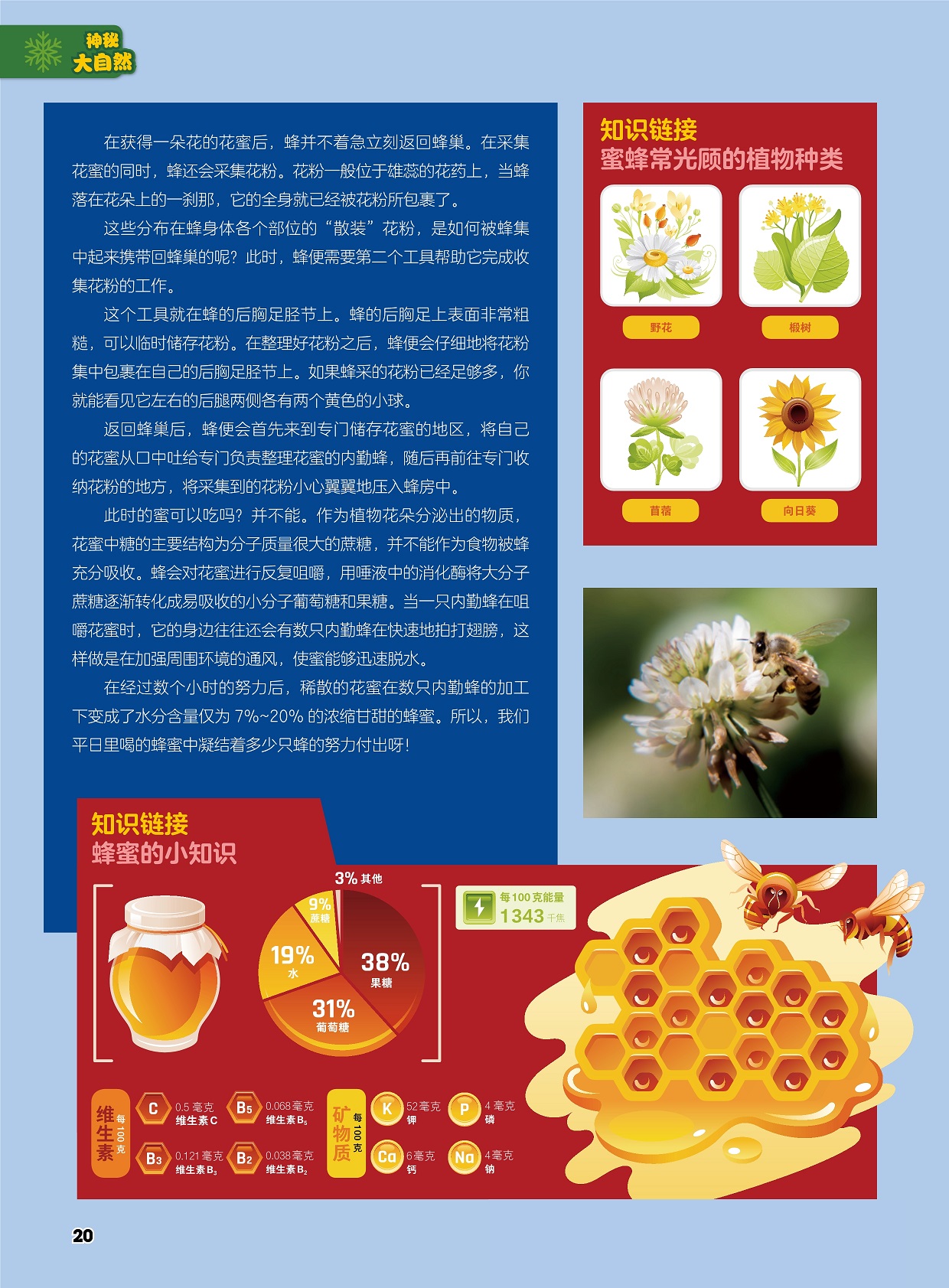 加强周围环境的通风使蜜能够迅速脱水,蜂蜜中凝结着蜂的努力付出