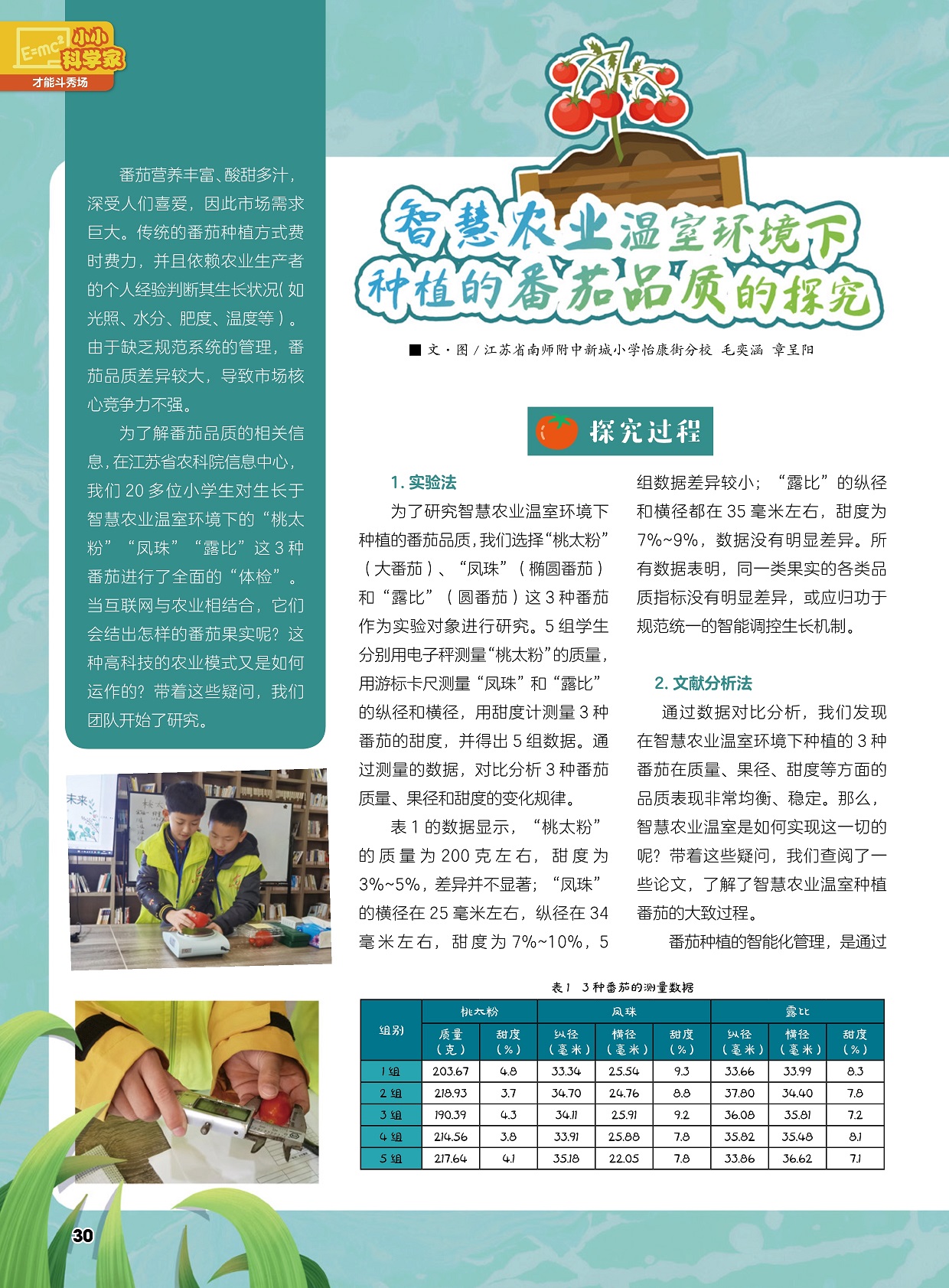 番茄营养丰富酸甜多汁,研究智慧农业温室环境下种植的番茄品质