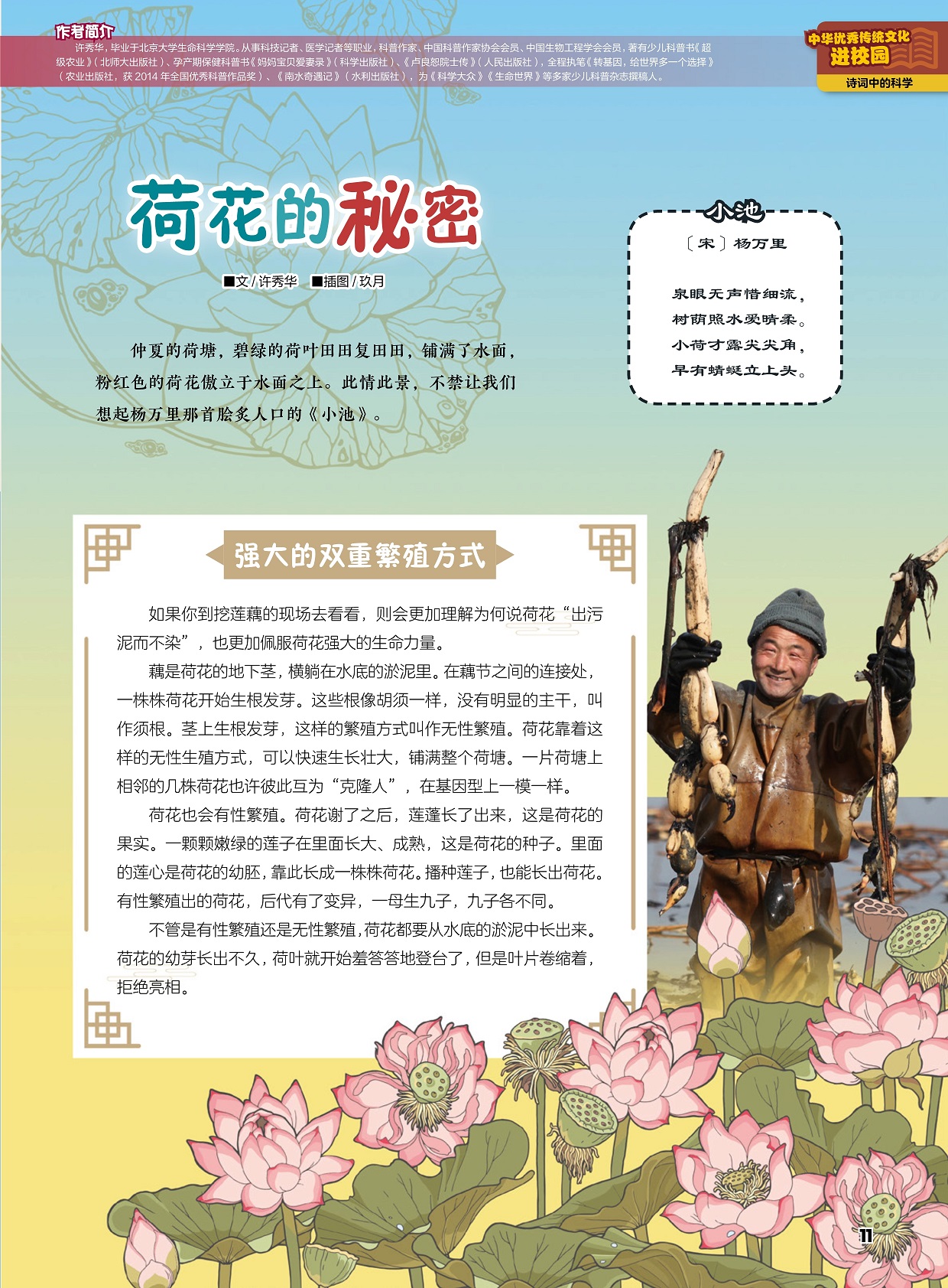 强大的双重繁殖方式,荷花也会有性繁殖