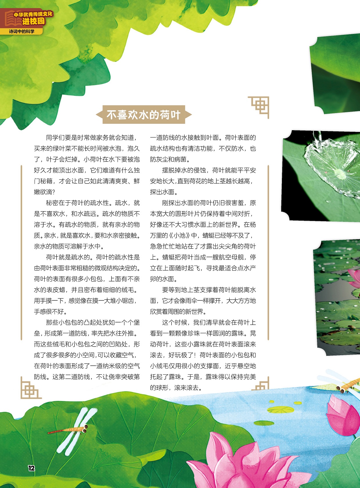 不喜欢水的荷叶,荷叶就是疏水的