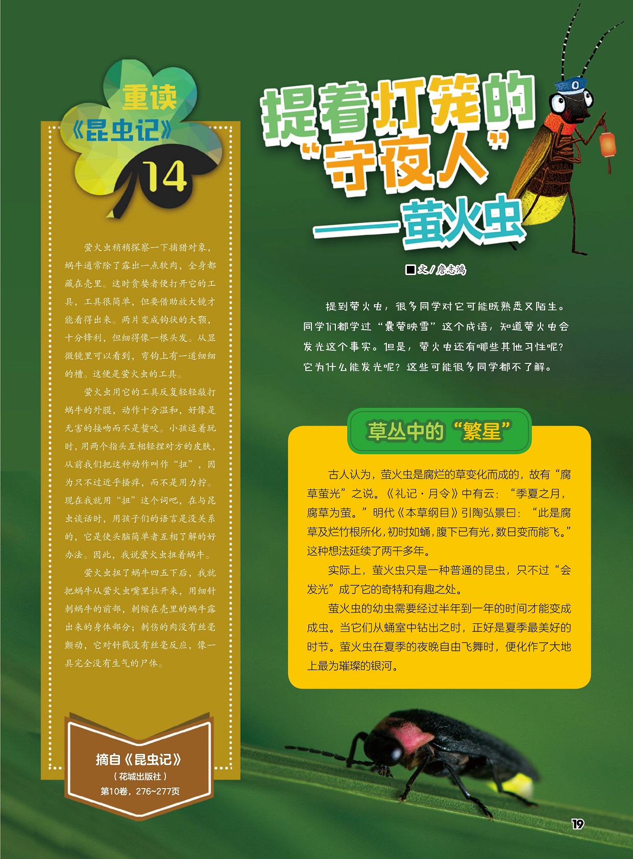 萤火虫只是一种普通的昆虫,萤火虫在夏季的夜晚自由飞舞