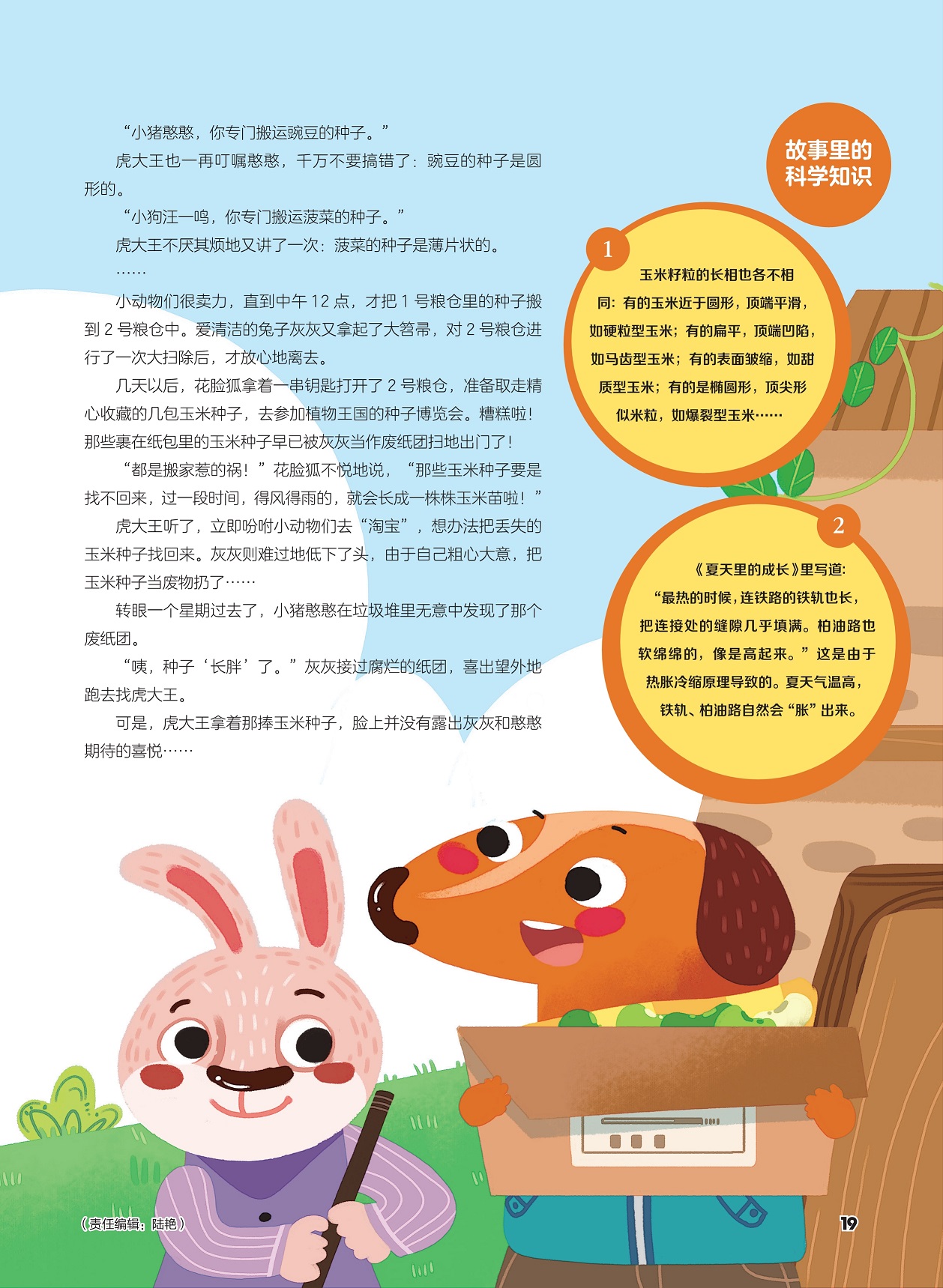 玉米籽粒的长相各不相同,菠菜的种子是薄片状的