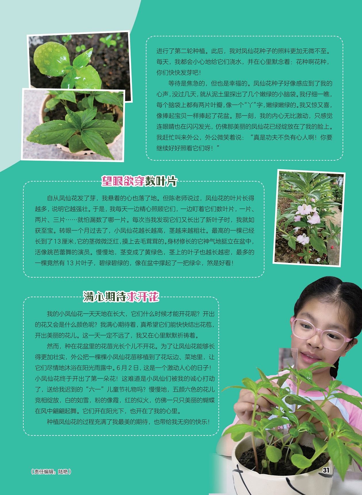 望眼欲穿数叶片,满心期待求开花