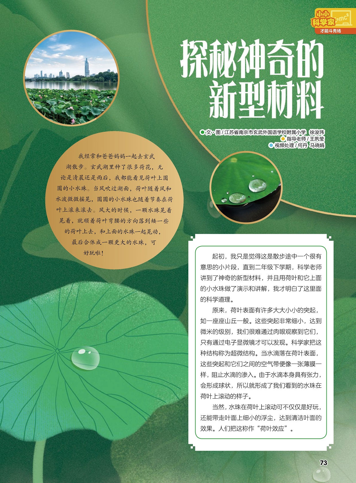 神奇的新型材料,“荷叶效应”的解释