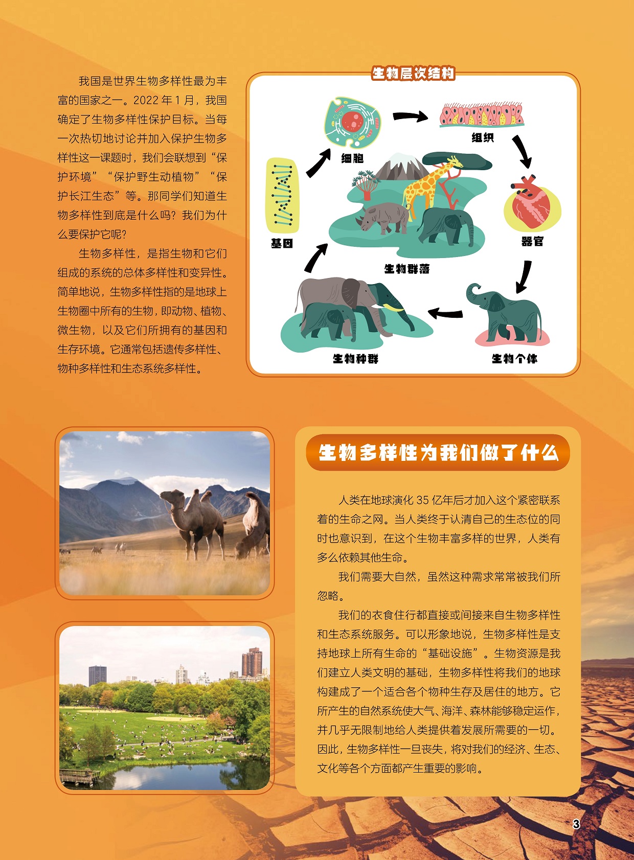 生物层次结构,我国是世界生物多样性最为丰富的国家之一