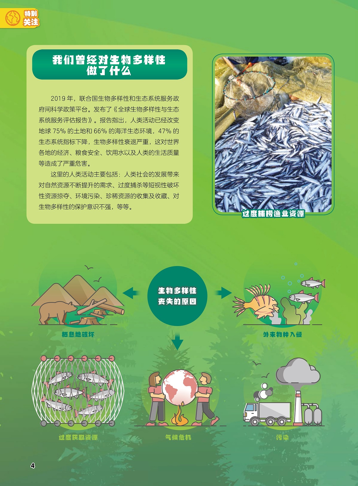 我们曾经对生物多样性做了什么,生物多样性丧失的原因