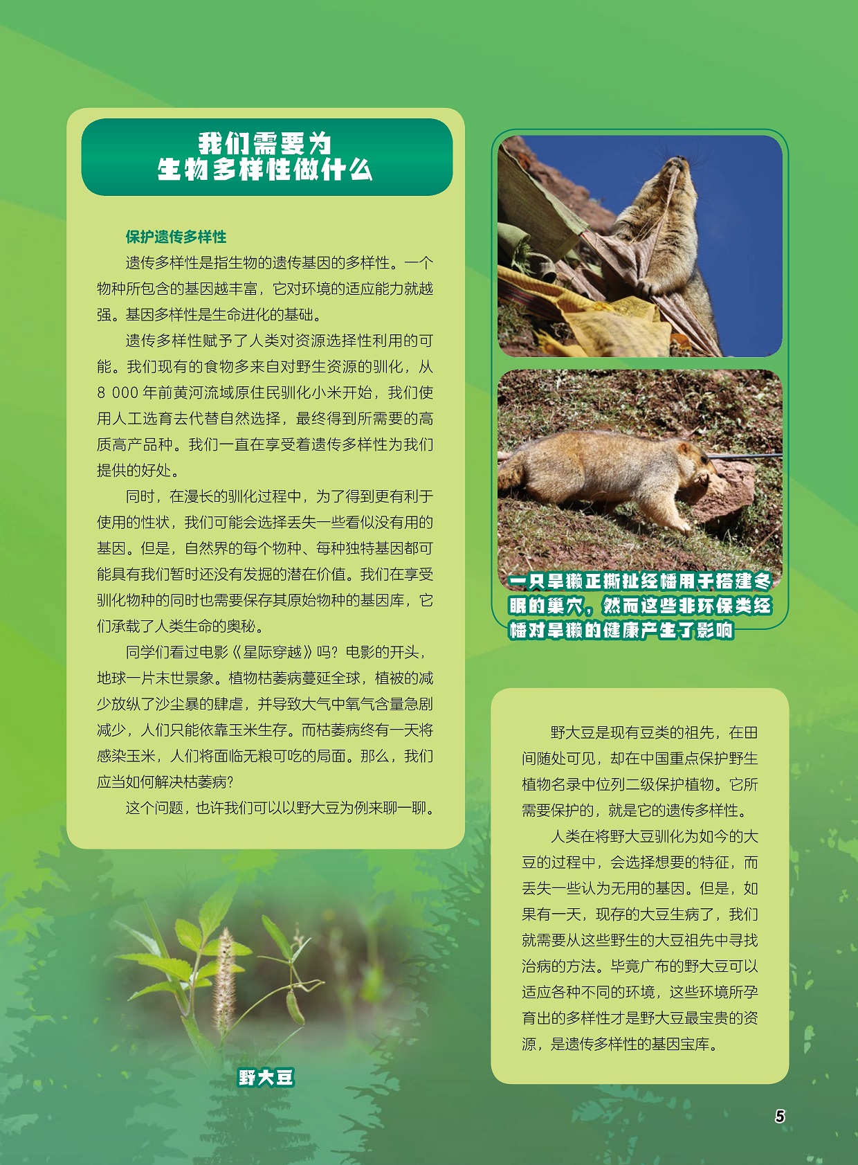 我们需要为生物多样性做什么,遗传多样性是指生物的遗传基因的多样性