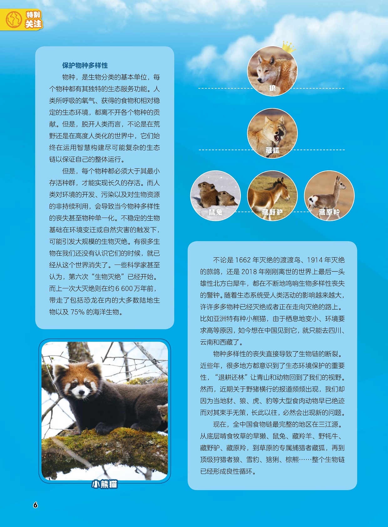 保护物种多样性,物种多样性的丧失直接导致了生物链的断裂