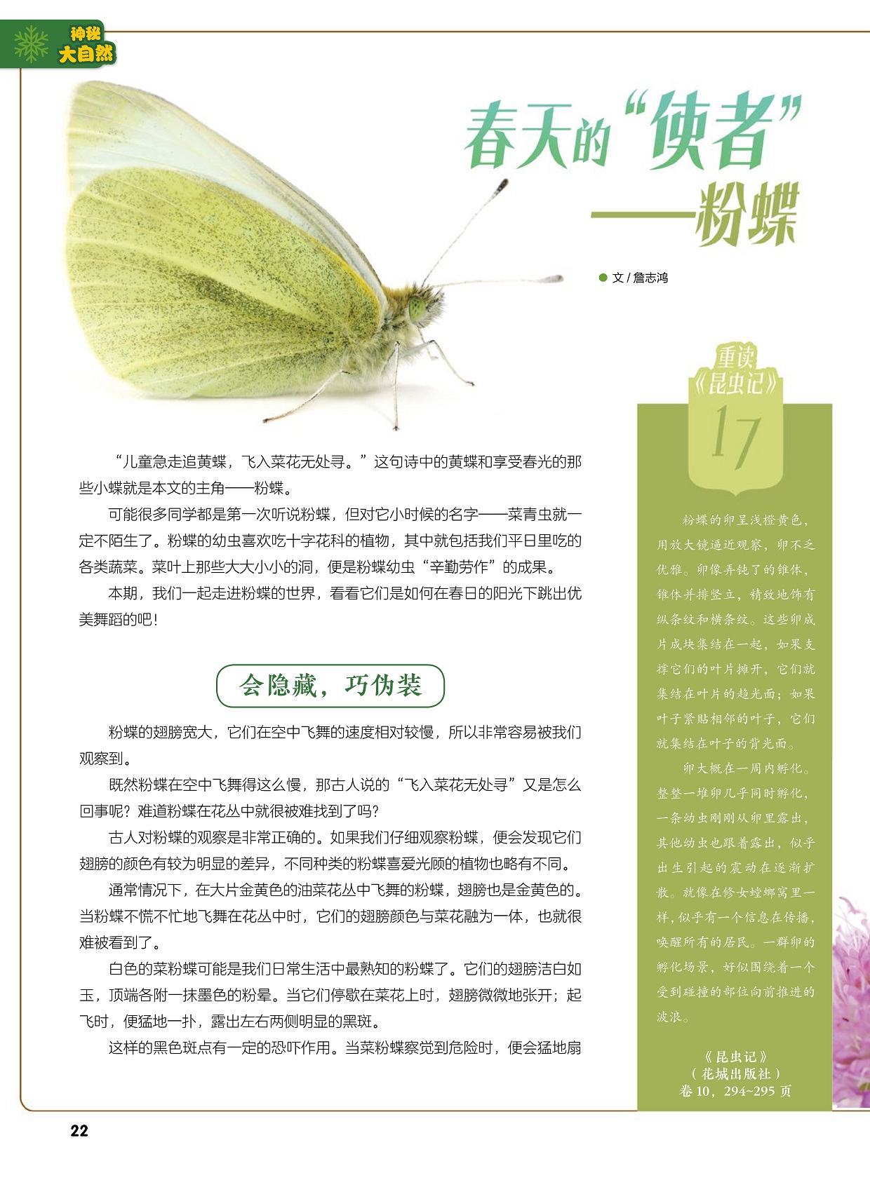 粉蝶的幼虫喜欢吃十字花科的植物,粉蝶在空中飞舞得慢