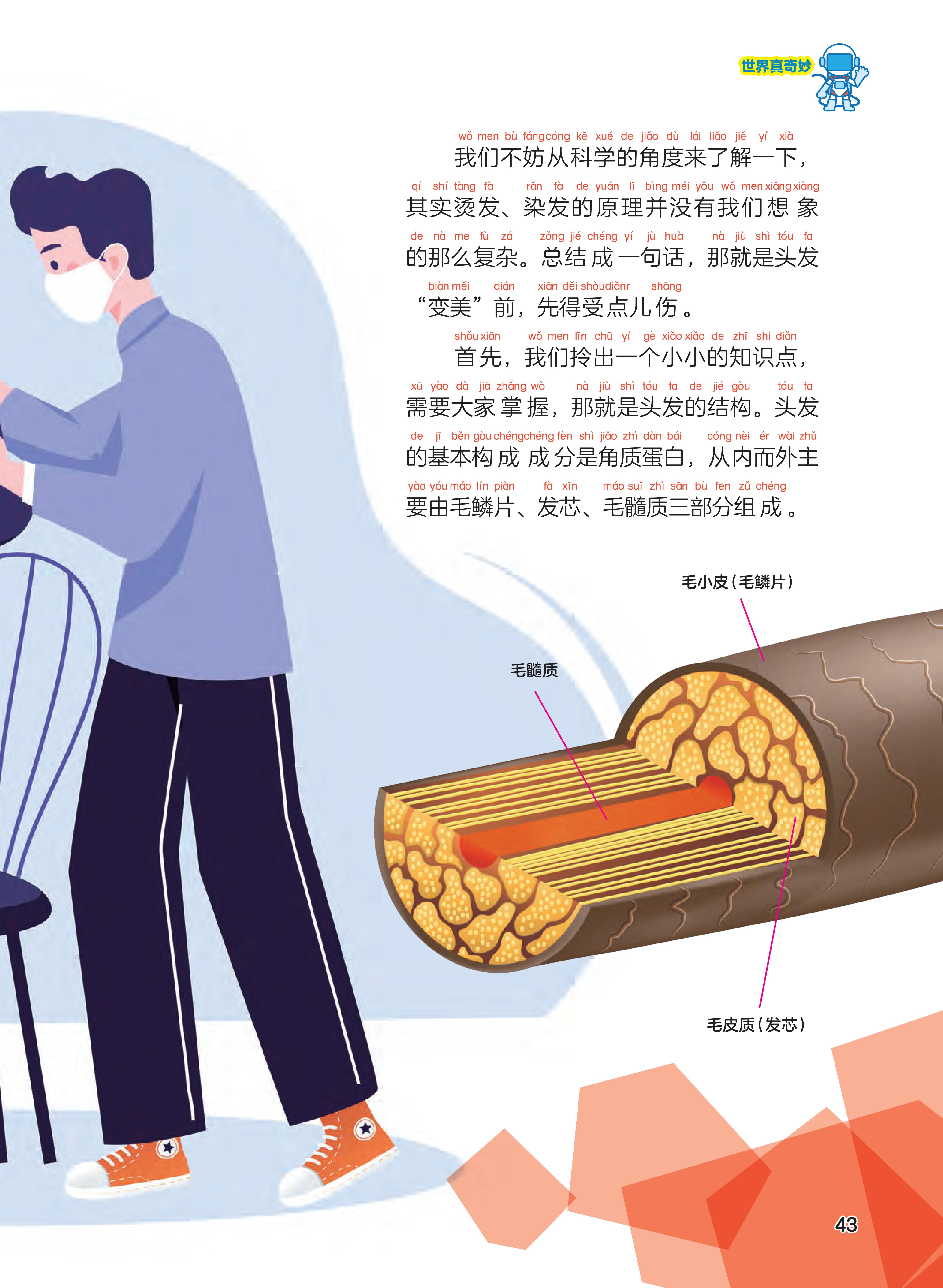 科学,知识点,结构,毛鳞片