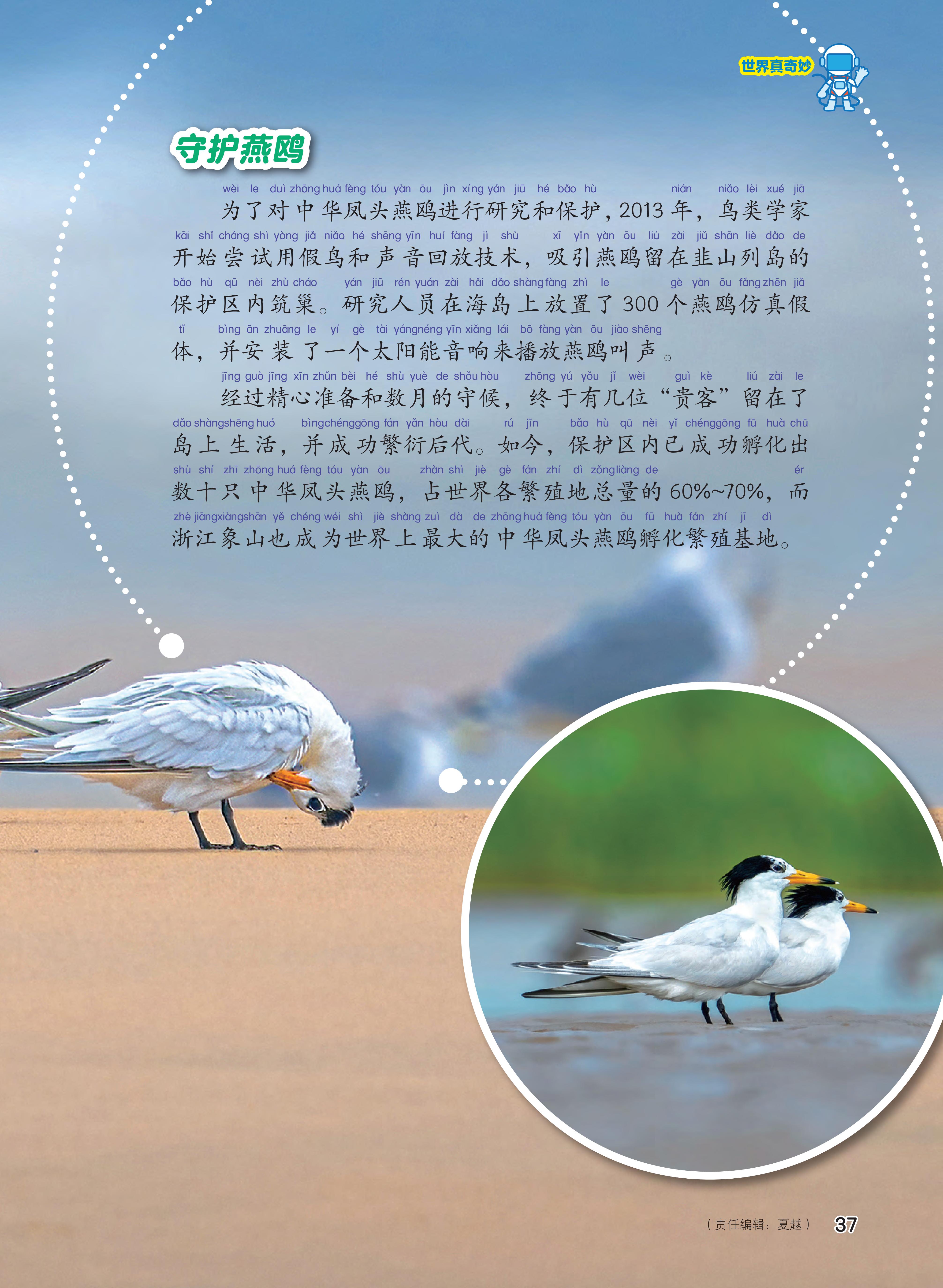 守护海燕,海岛,浙江象山