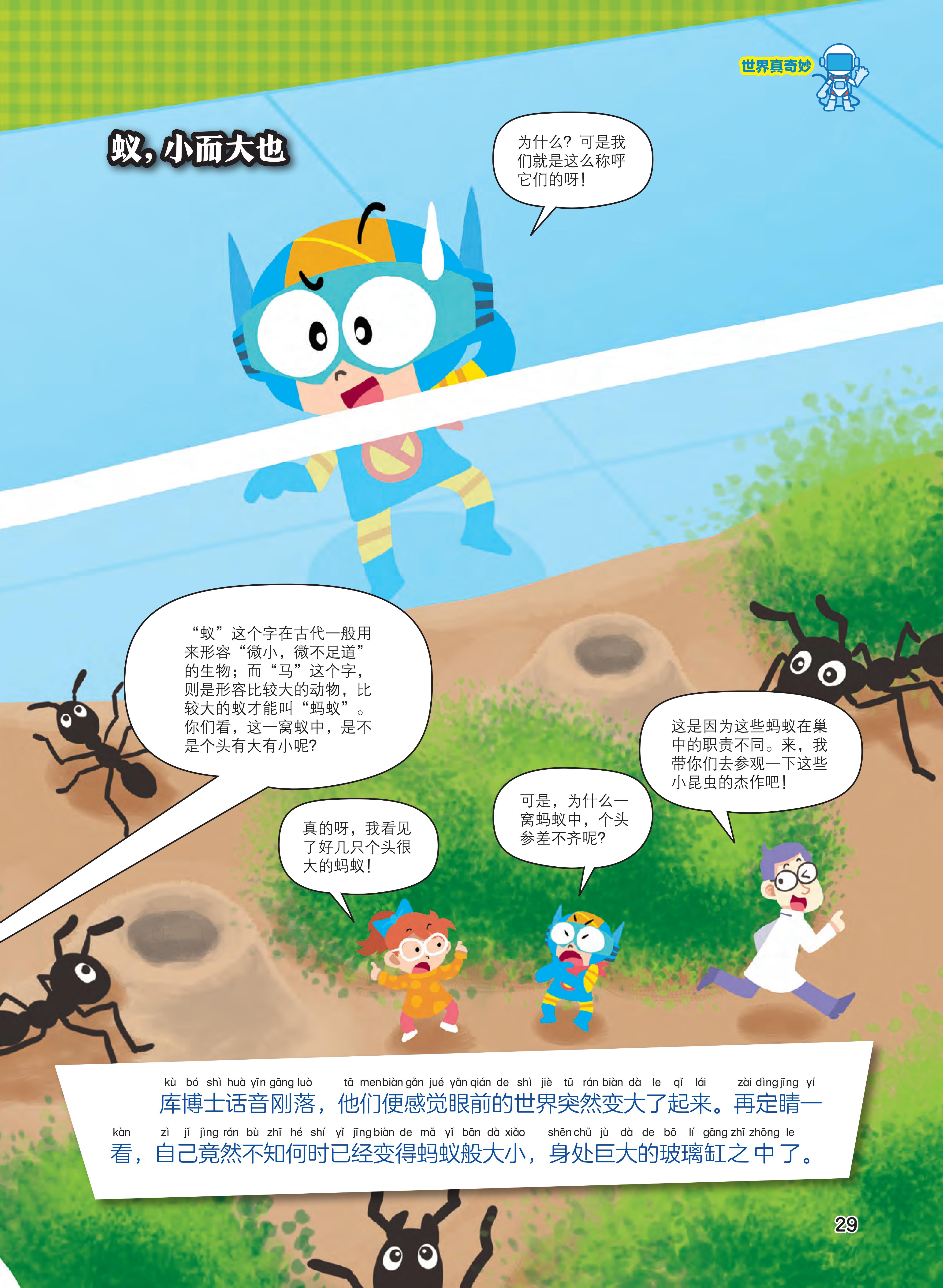 称呼,微不足道,参差不齐