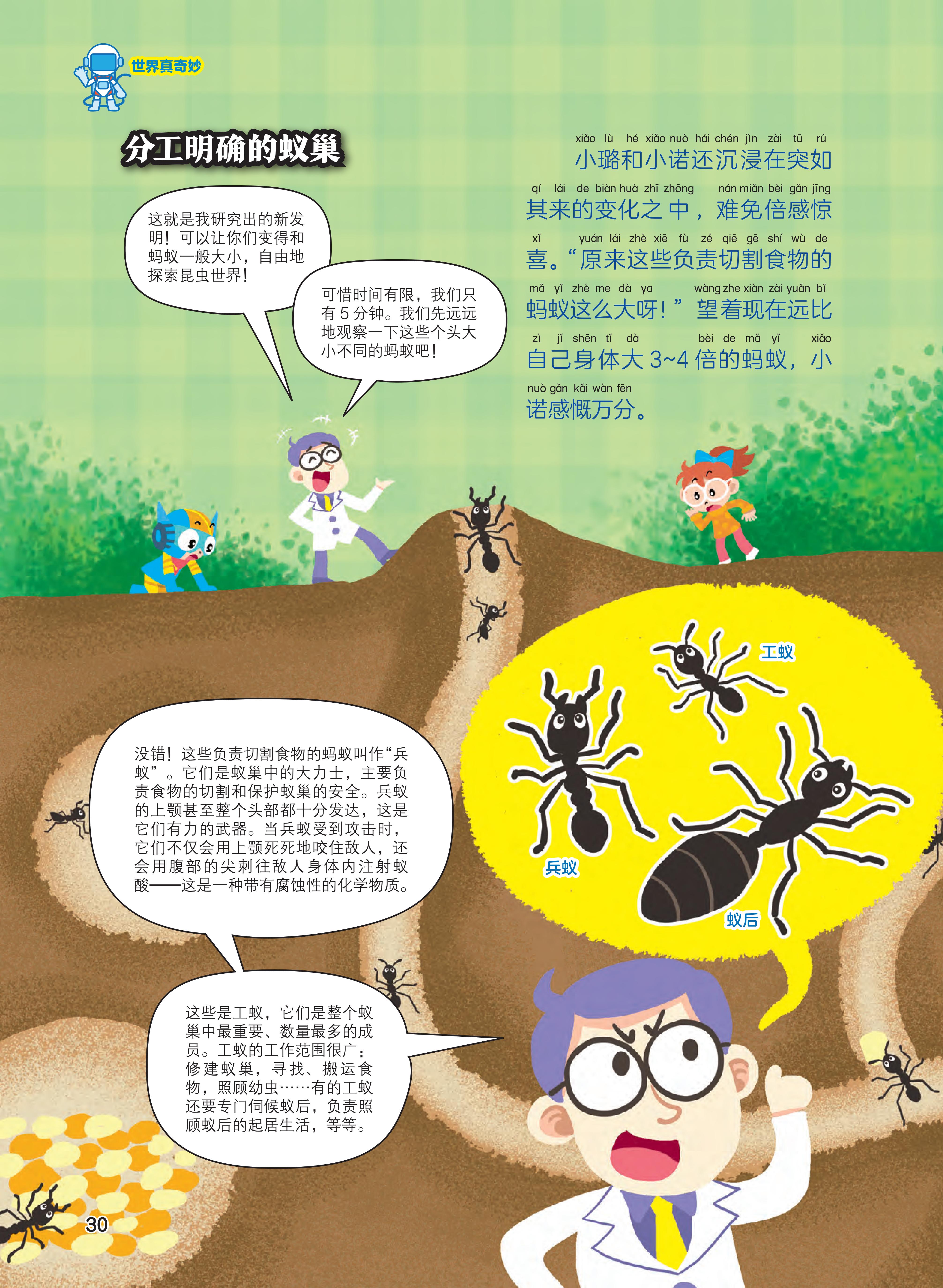 分工明确,负责,昆虫世界