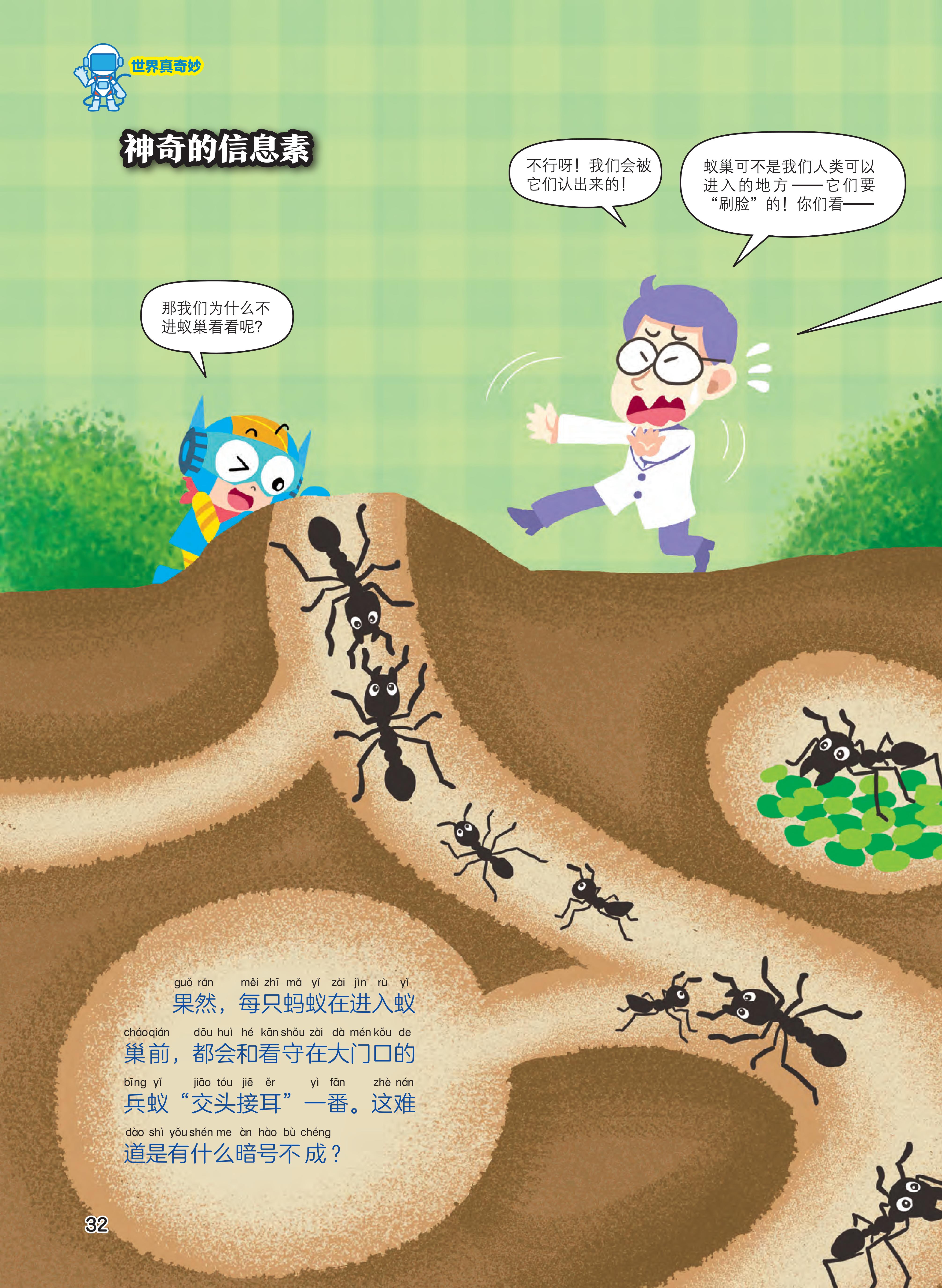 信息素,兵蚁,暗号