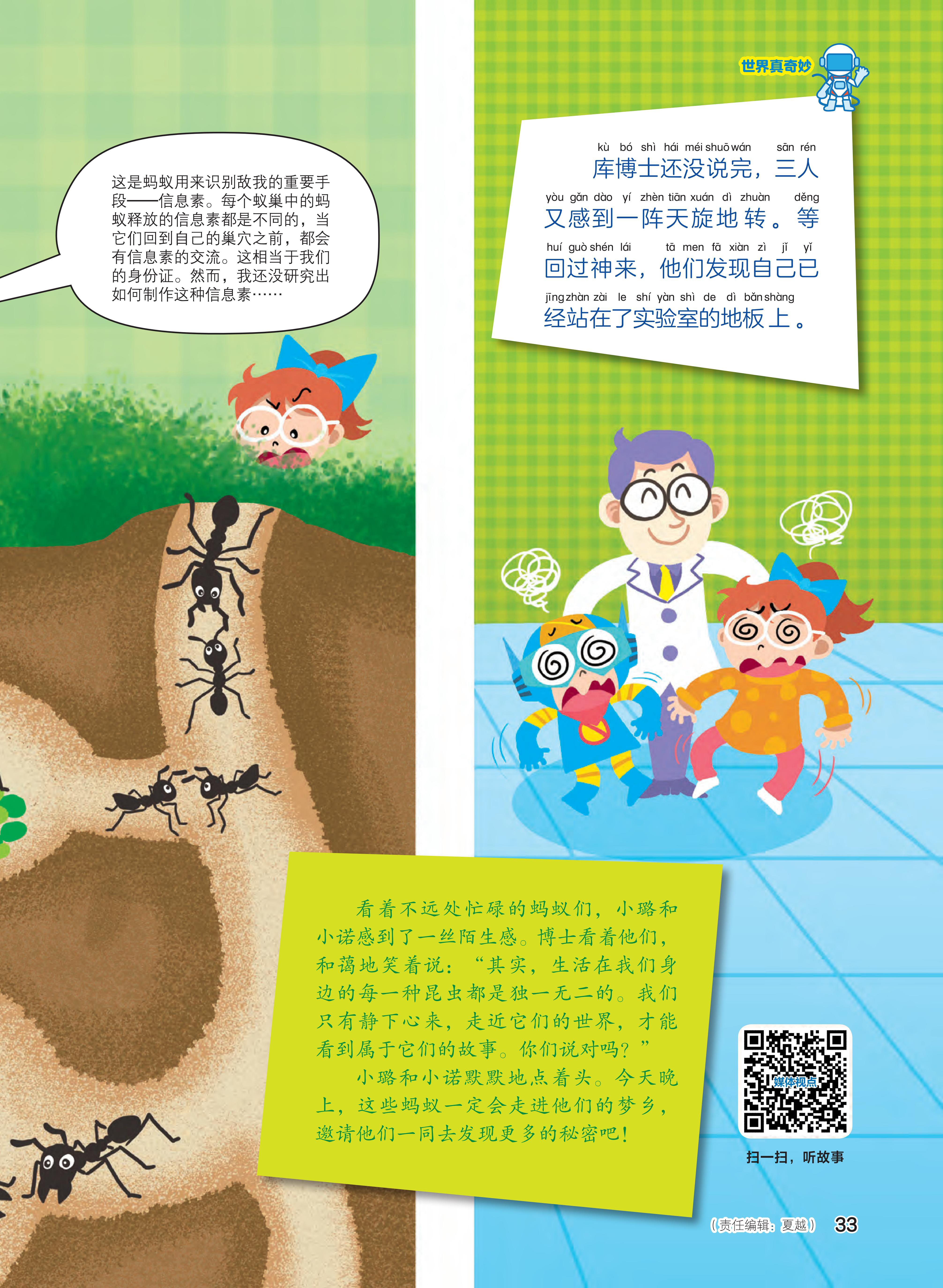 地板,昆虫,精心,交流