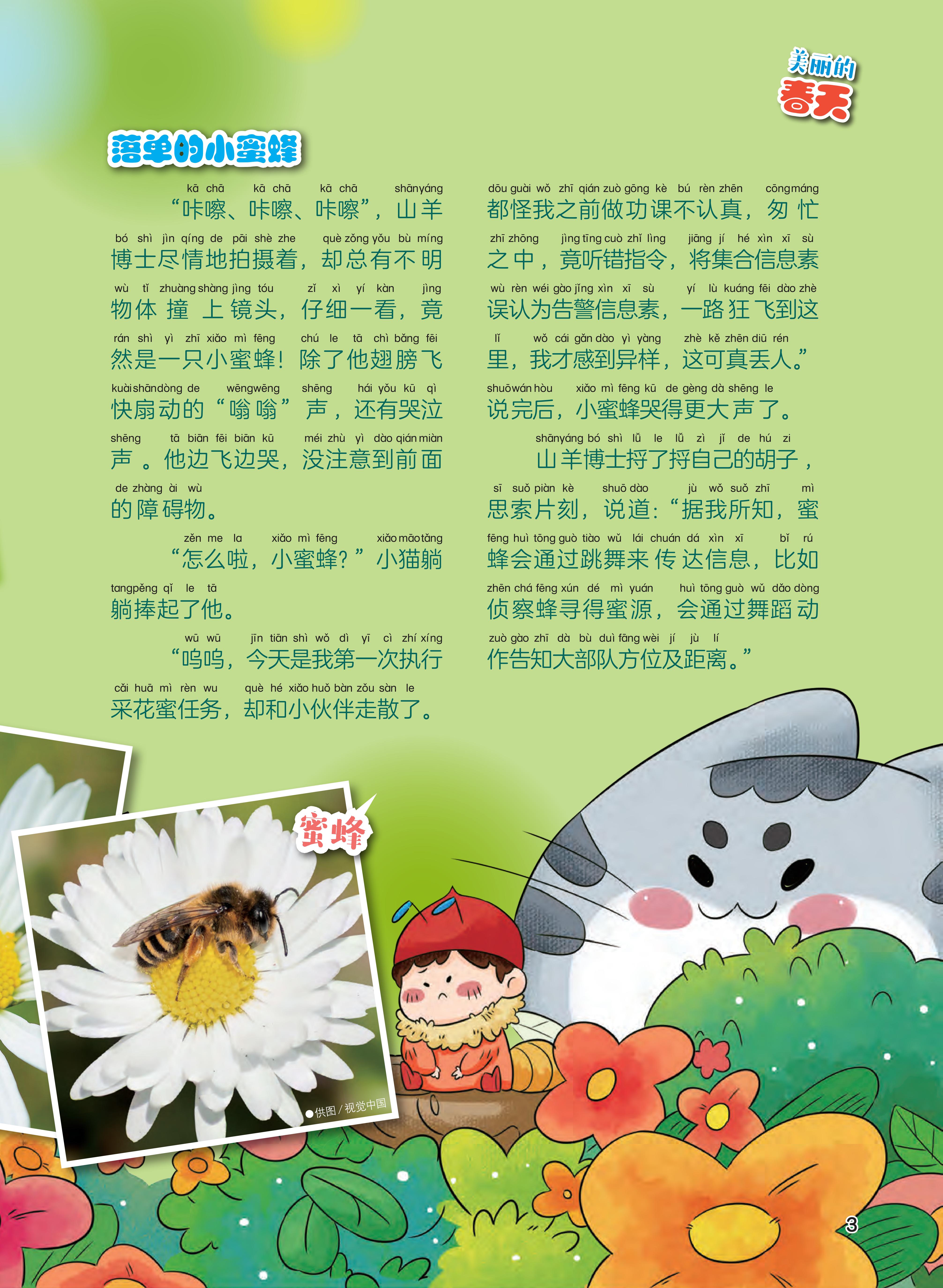 小蜜蜂,镜头,障碍物,信息素