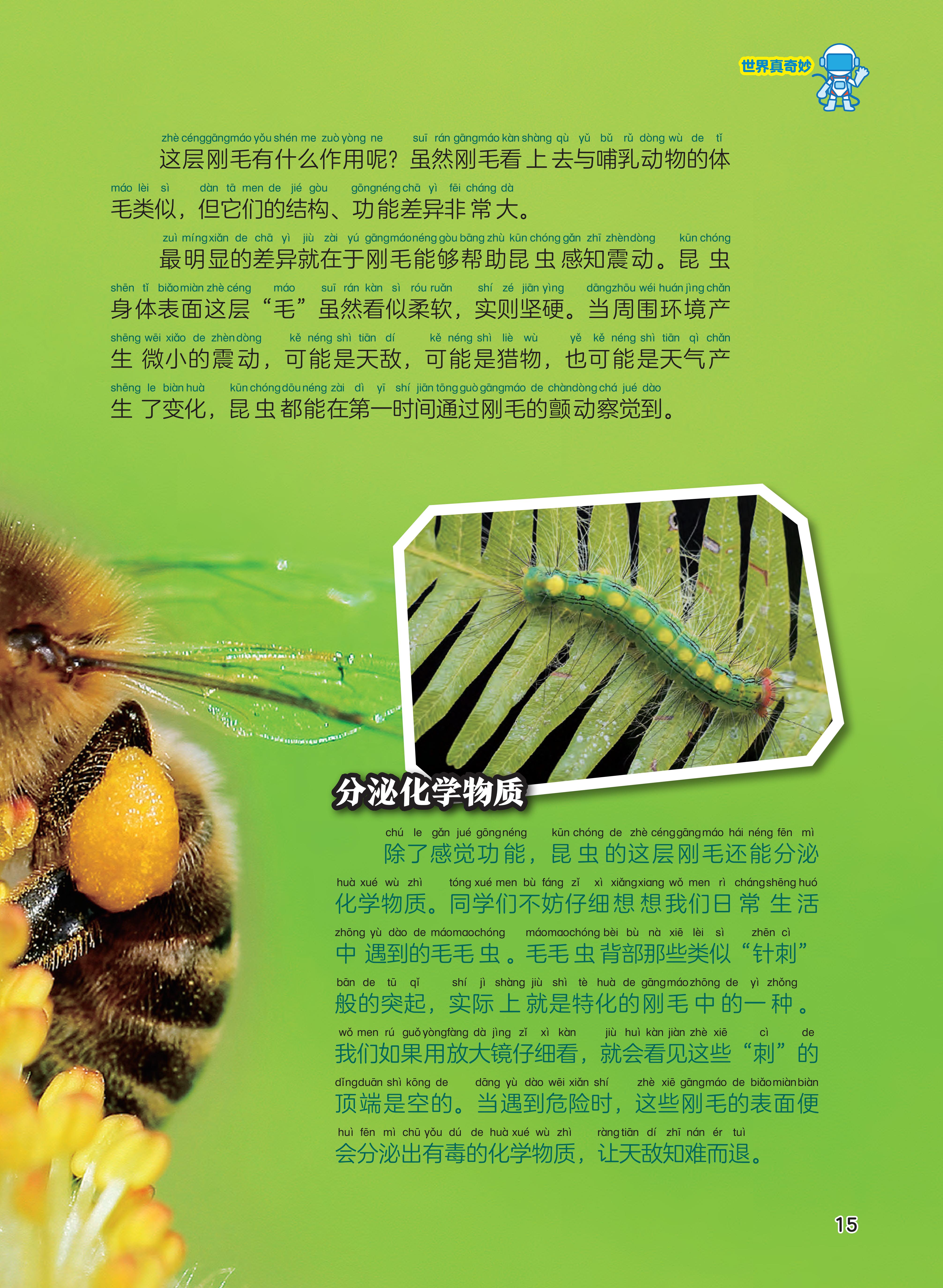 刚毛,猎物,天气,刺