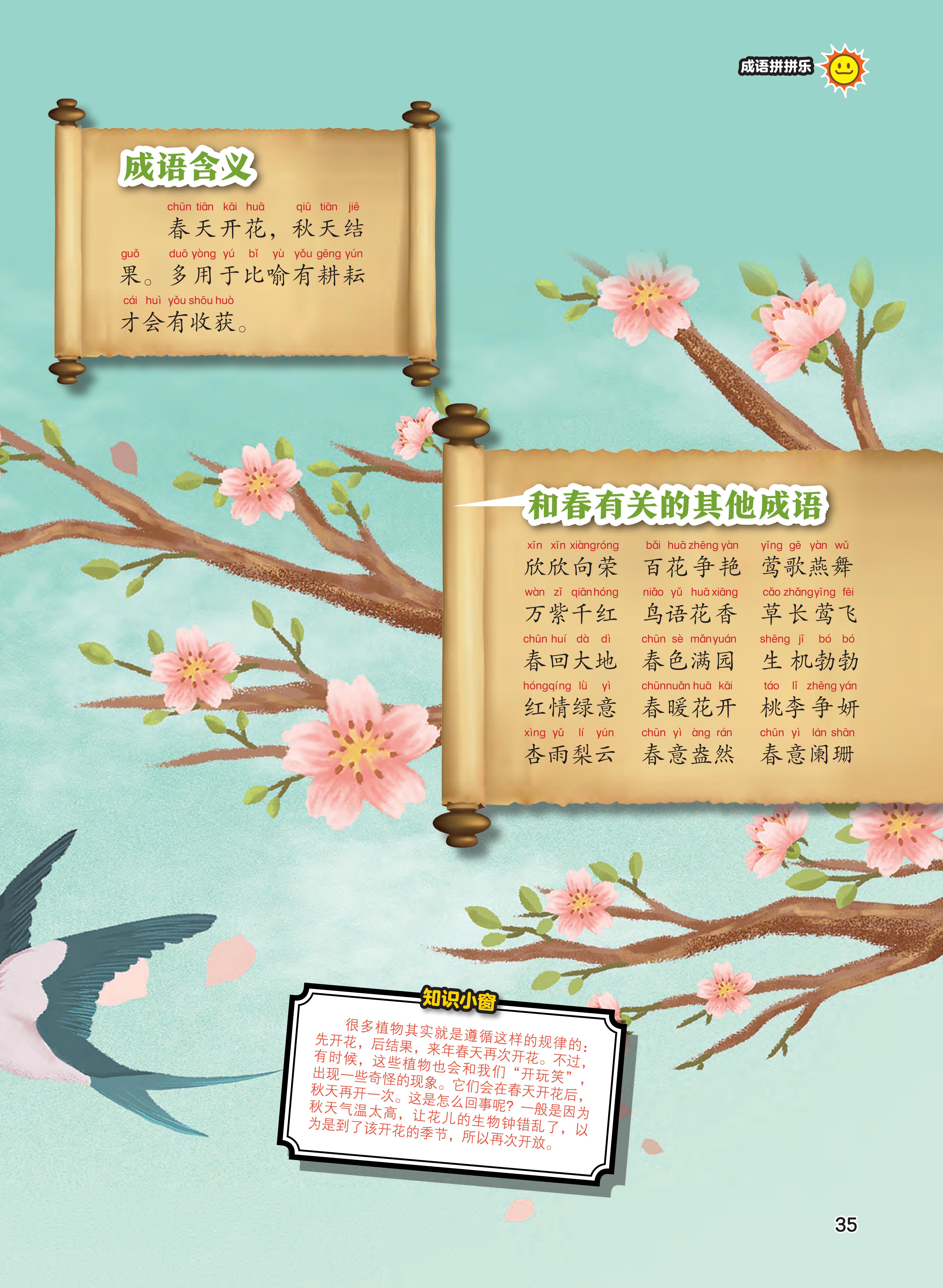 春天,规律,开花,季节