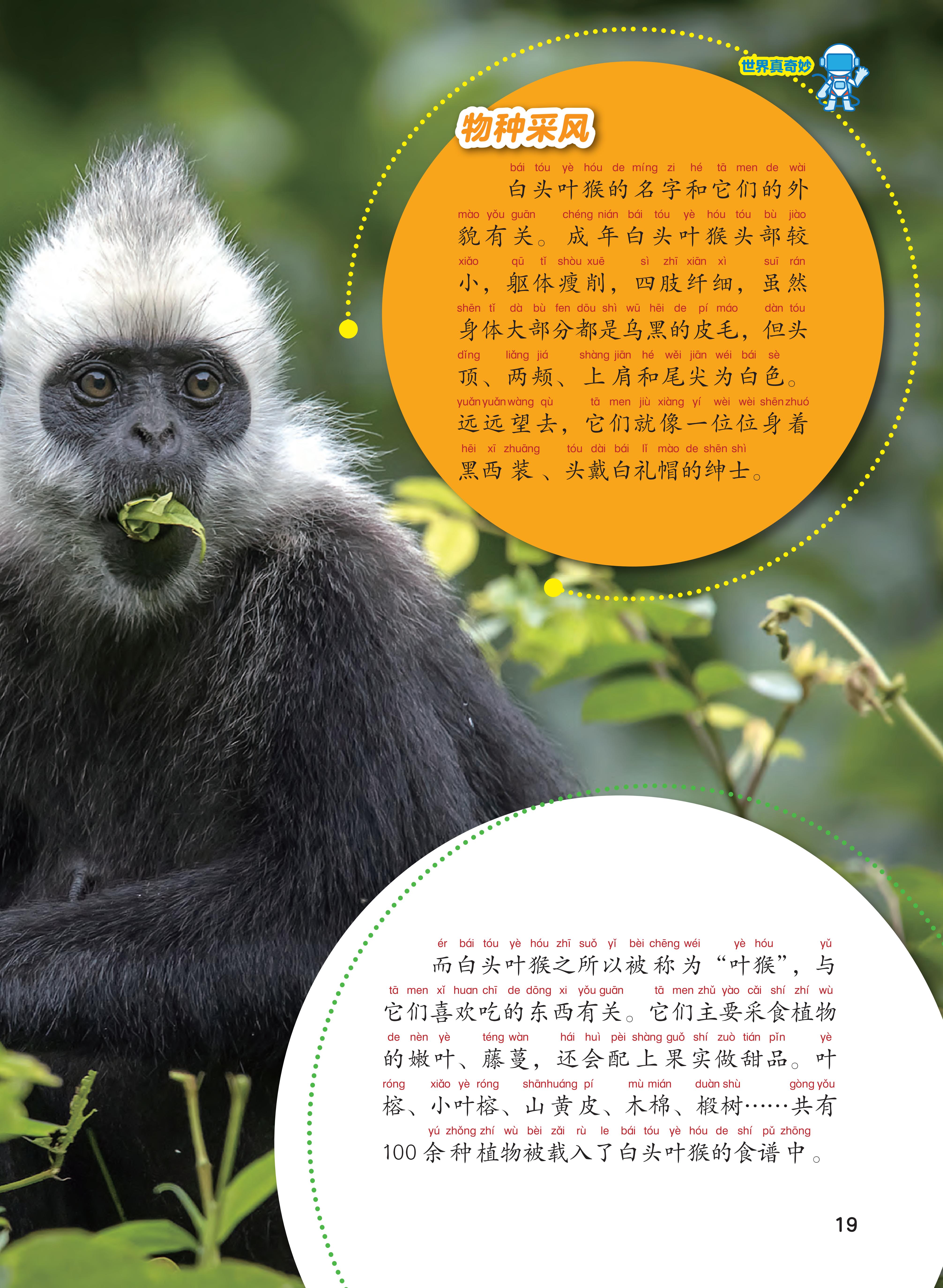 物种风采,乌黑的皮毛,食谱