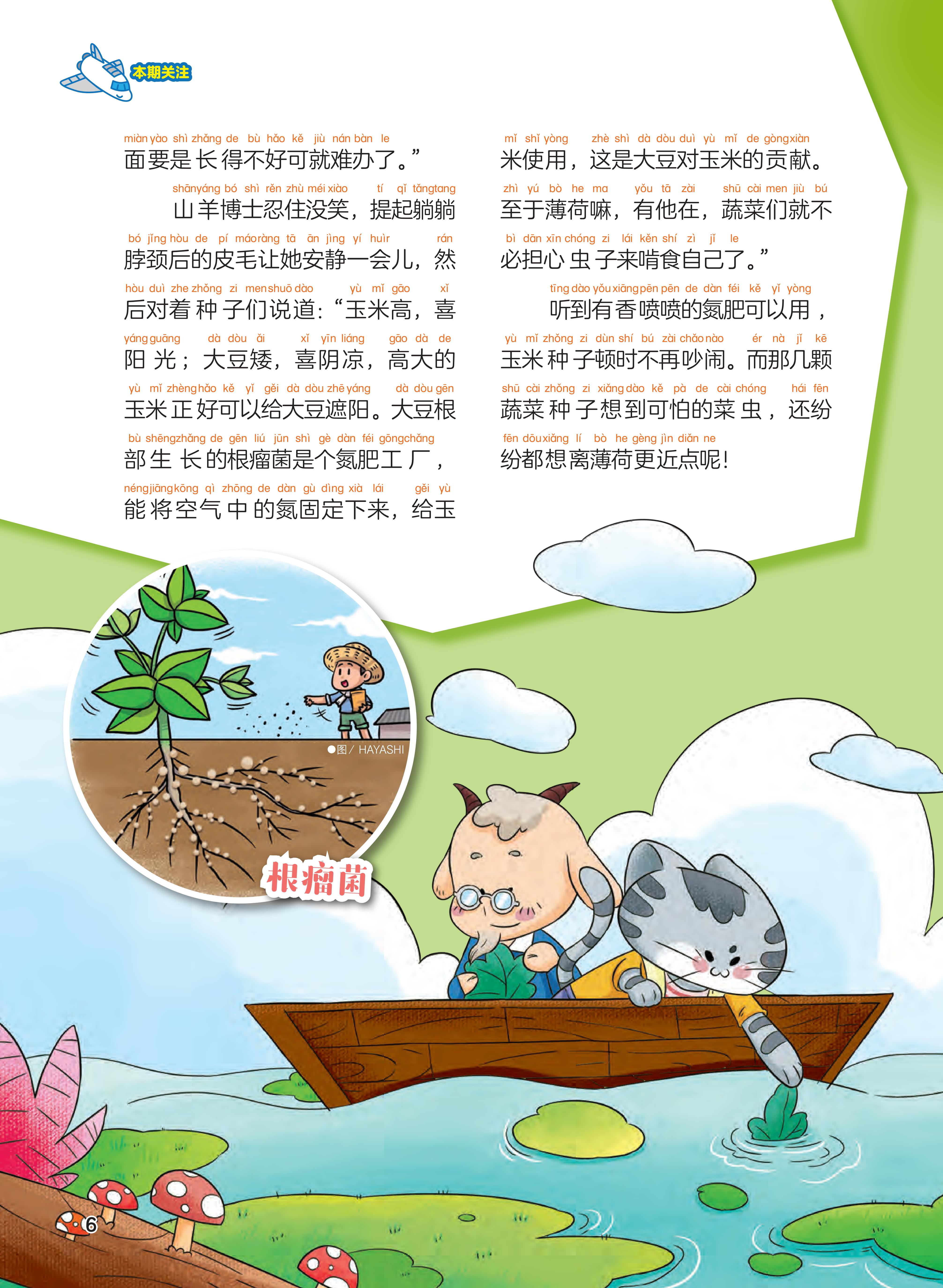 大豆,氮肥工厂,薄荷