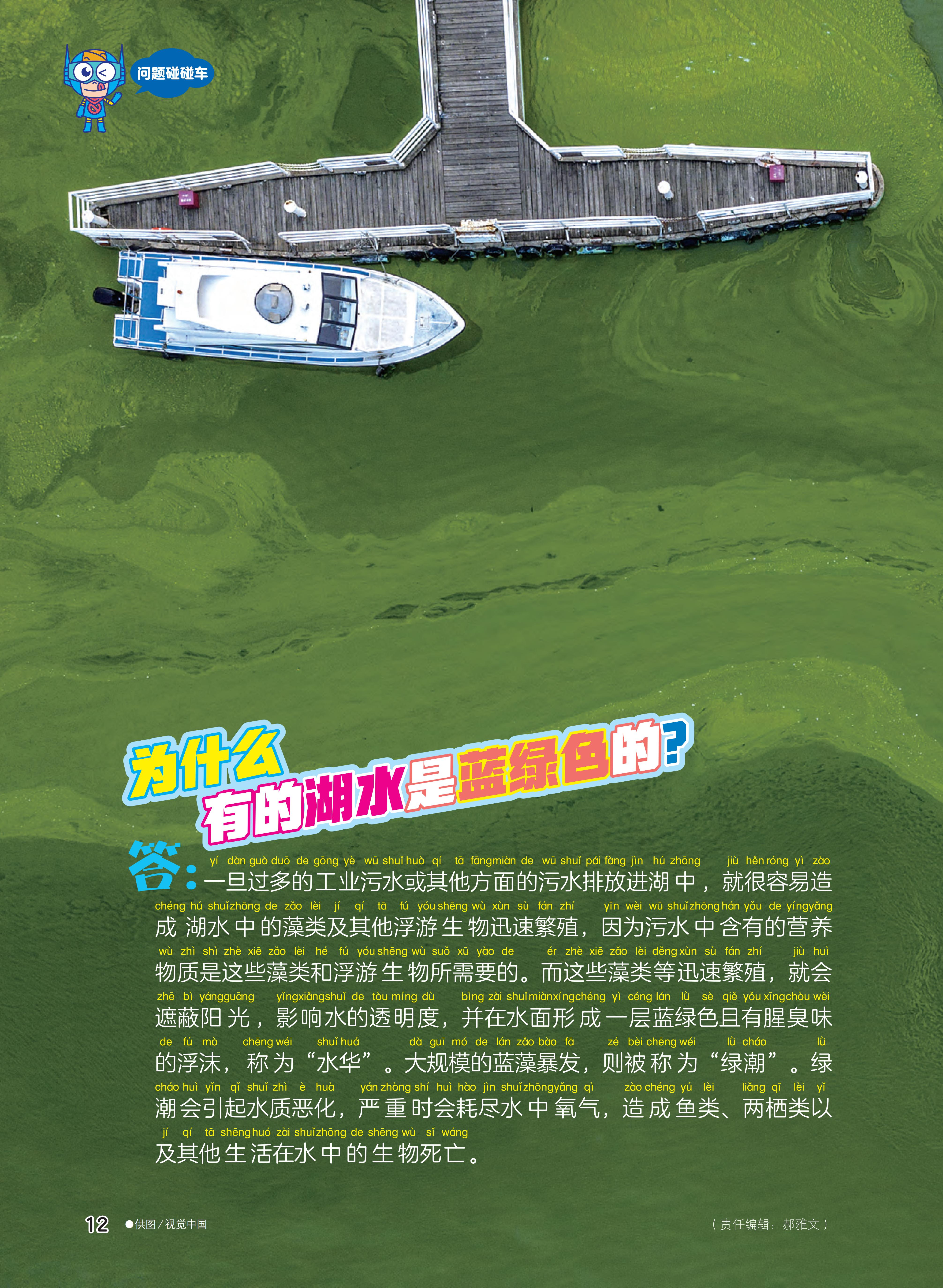 湖水,蓝绿色,浮游生物,水华