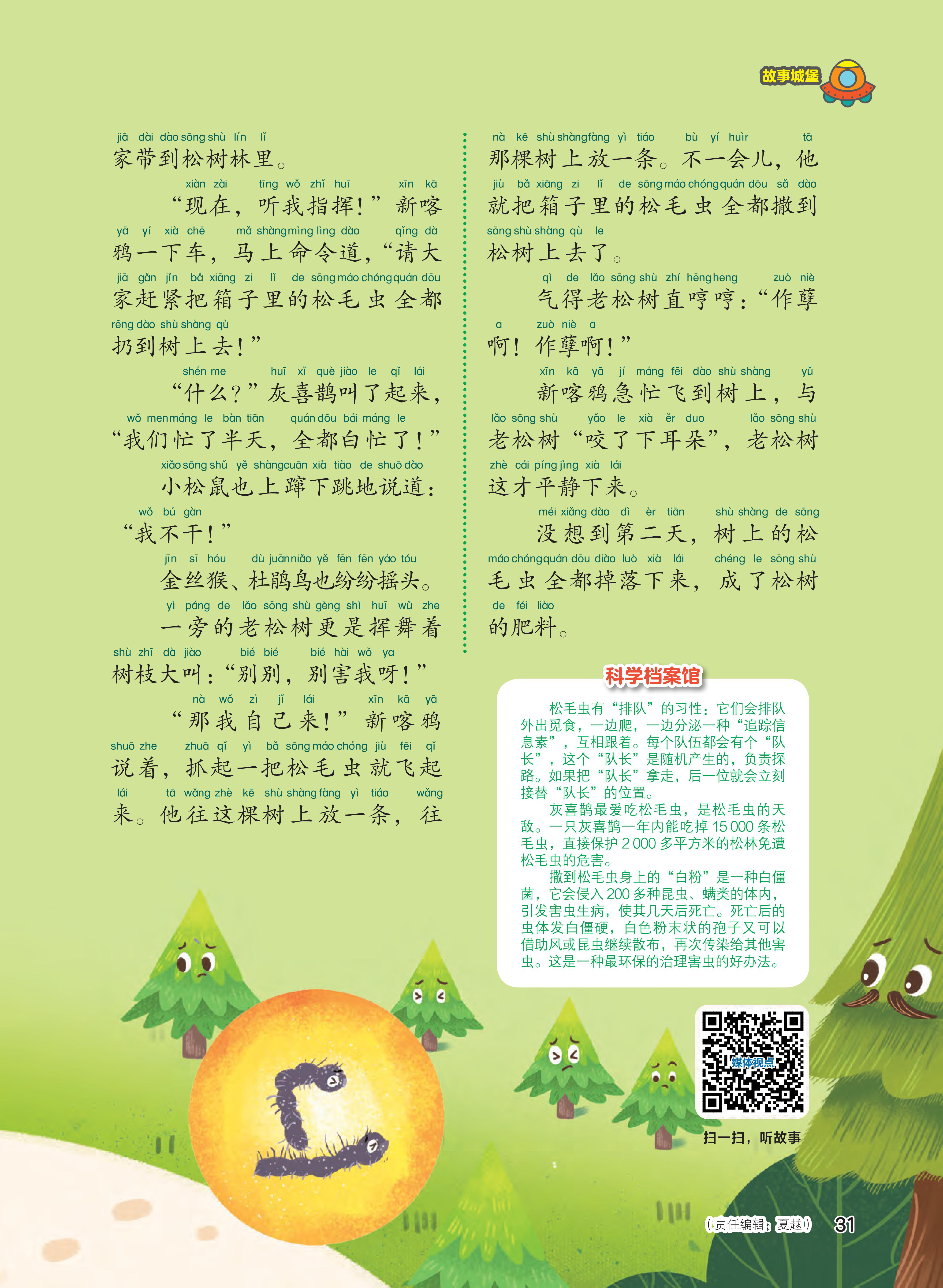 指挥,老松树,箱子