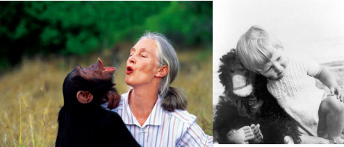 科学家们;科学家们小时候 科学家们;科学家们小时候