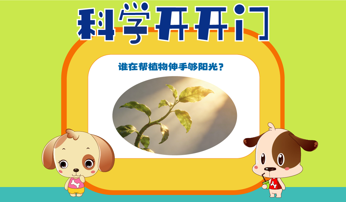 【科学开开门】第487集 谁在帮植物伸手够阳光