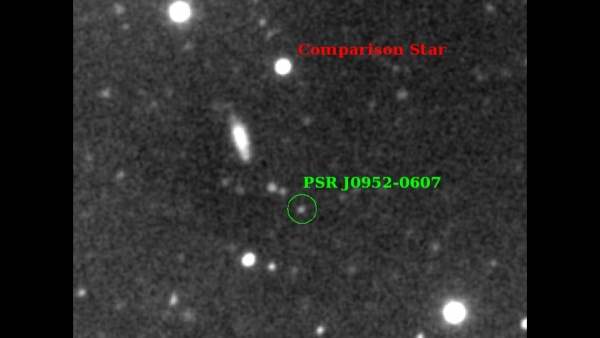 中子星,黑寡妇双星,脉冲星
