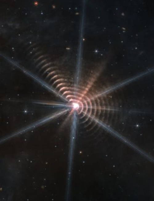 詹姆斯·韦布,恒星