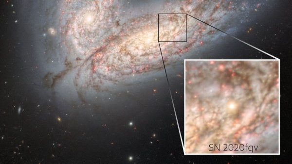 超新星,罗塞塔石碑 超新星,罗塞塔石碑
