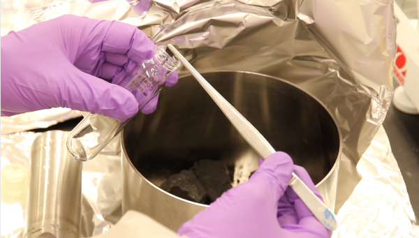 阿瓜斯·扎卡斯陨石,取样,镊子 阿瓜斯·扎卡斯陨石,取样,镊子