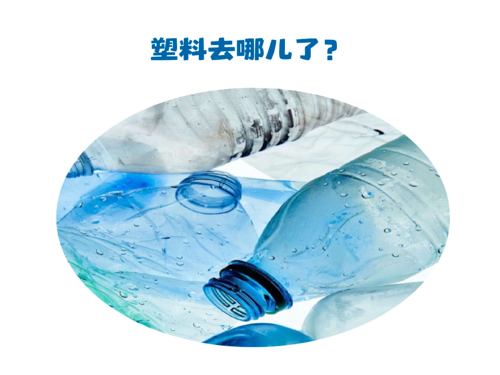 微信图片_2025-06-09_113738_311.jpg