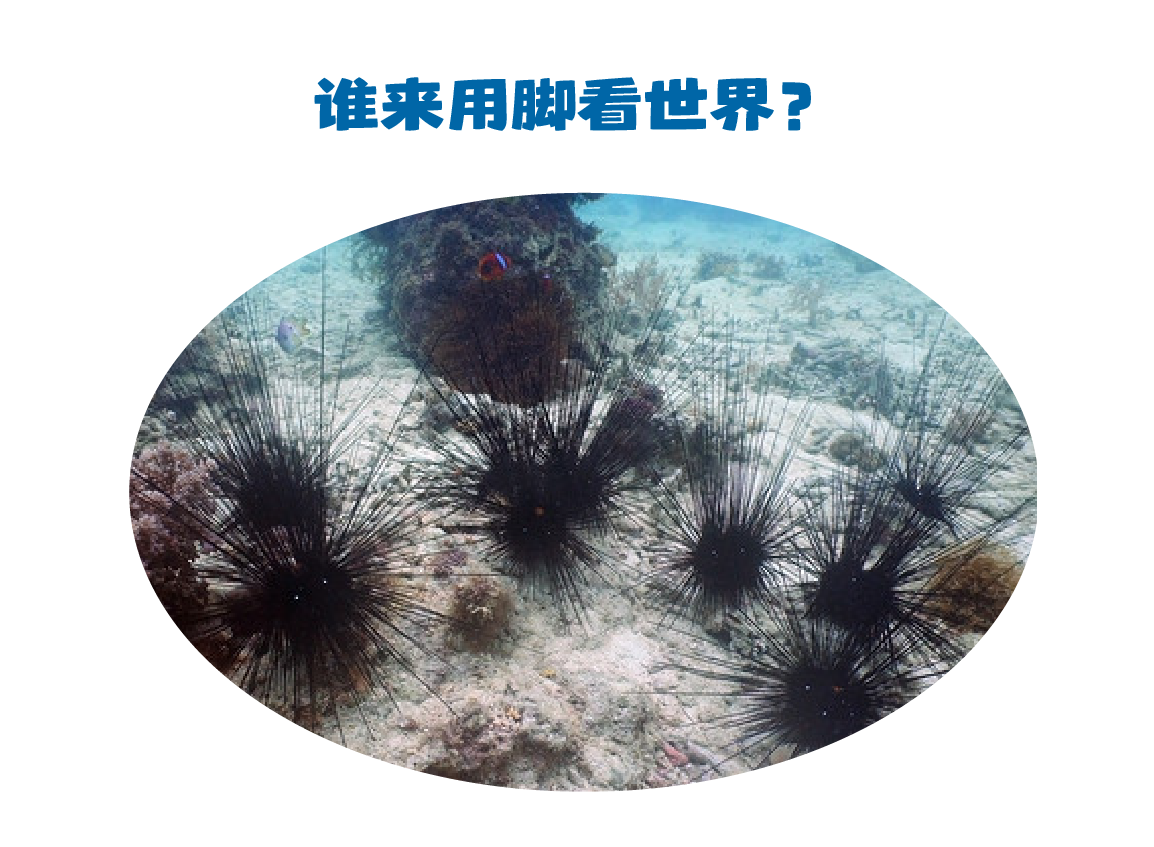 微信图片_2025-06-09_134828_341.png