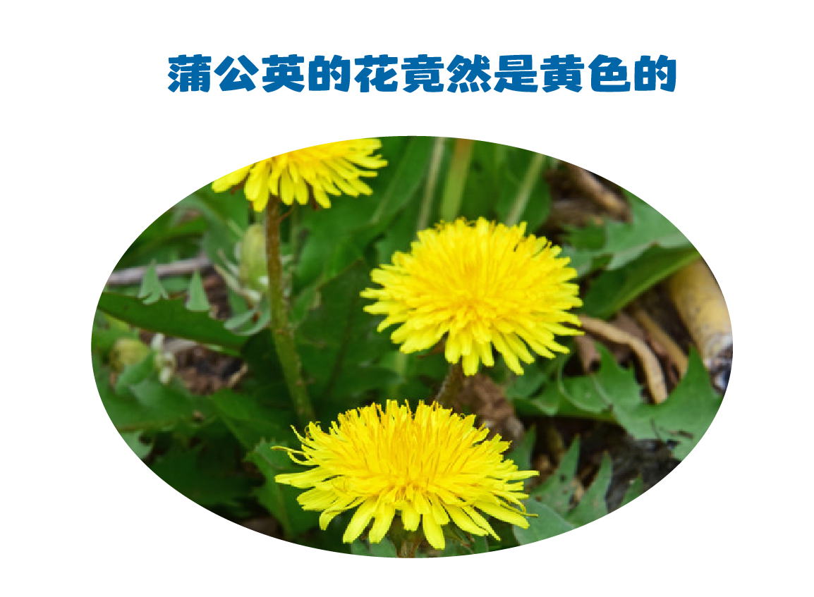 微信图片_2025-06-09_134815_415.png