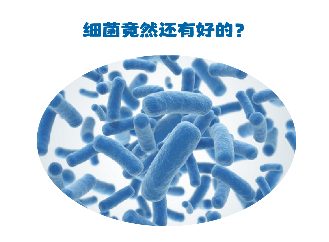 微信图片_2025-06-09_134821_509.png