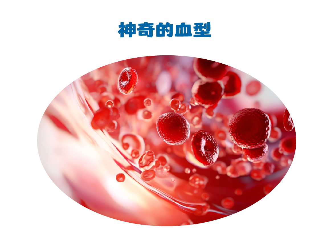 微信图片_2025-06-20_174939_927.png