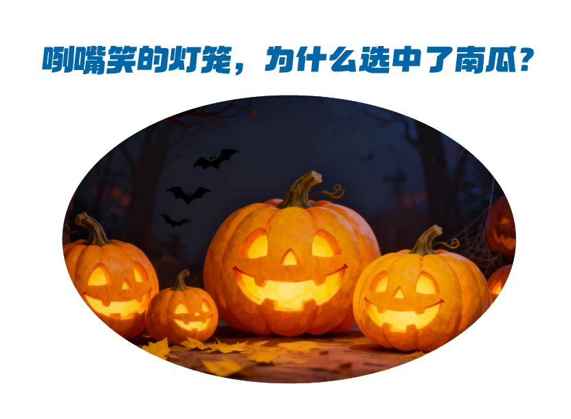 微信图片_20251031104353_198_366.jpg