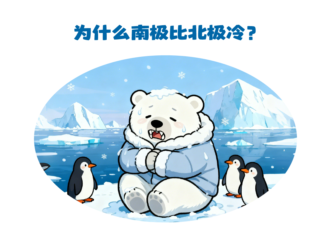 微信图片_20251128141030_2455_157.png