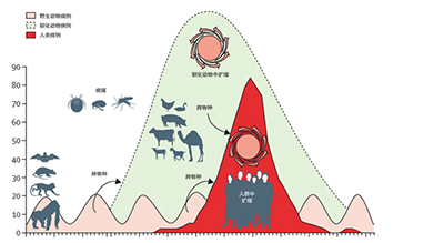 防控;新冠肺炎疫情