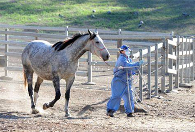 防控;新冠肺炎疫情