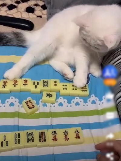 丢弃;口罩;哪里