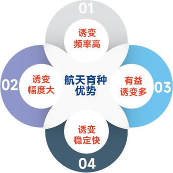 航天育种,航天育种优势 航天育种,航天育种优势