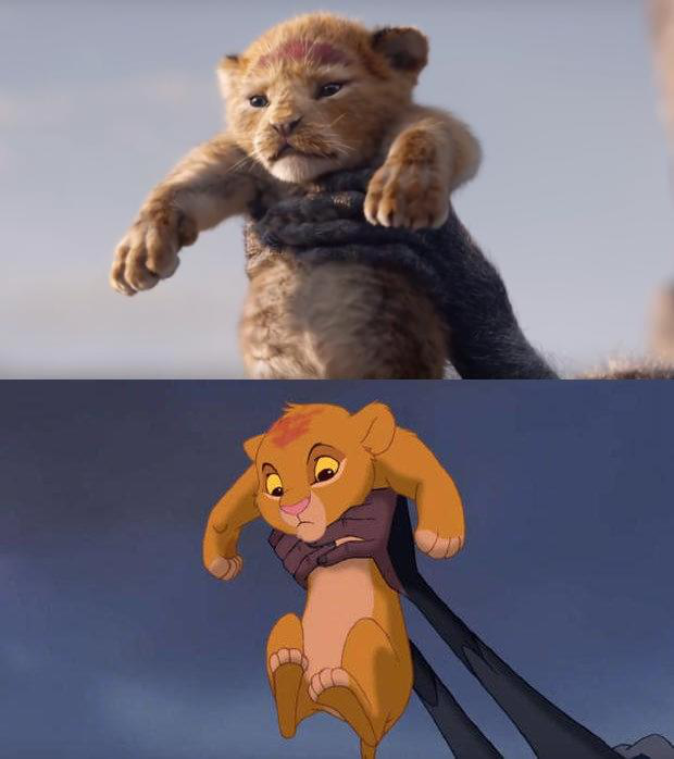 《狮子王》;动画;狮子 《狮子王》;动画;狮子