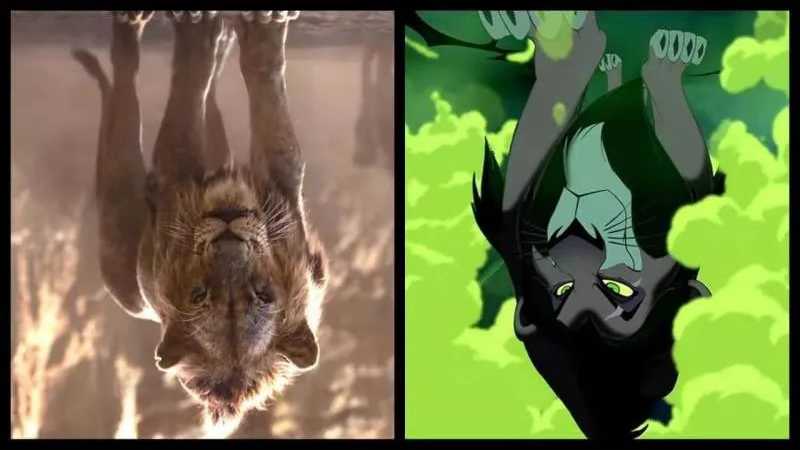 《狮子王》;动画;狮子 《狮子王》;动画;狮子