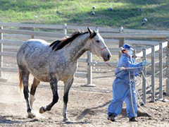 防控新冠肺炎疫情，阻击人畜共患病
