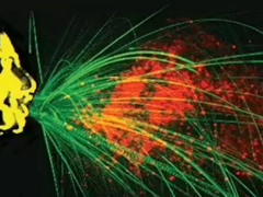 一个喷嚏可以飞多远