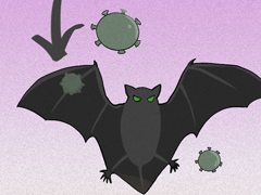 【科学放大镜】新型冠状病毒的一天