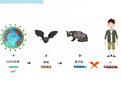 拒绝舌尖上的野生动物